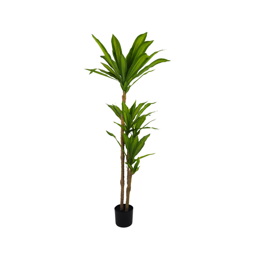 Pianta Artificiale Dracena Multi 150 cm per interno ed esterno