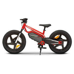 DUCATI E-MOTO KIDS - MOTORE 150W - RUOTE 16"" X 2.4 - 16 KM/H - 3 VELOCITA'' SELEZIONABILI (8-12-16KM/H)