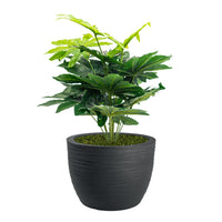 Pianta Artificiale Aralia 70 cm Con Vaso Nicoli Hera Ø 40 Incluso -  colore: Elegance Antracite - P04-V08-P