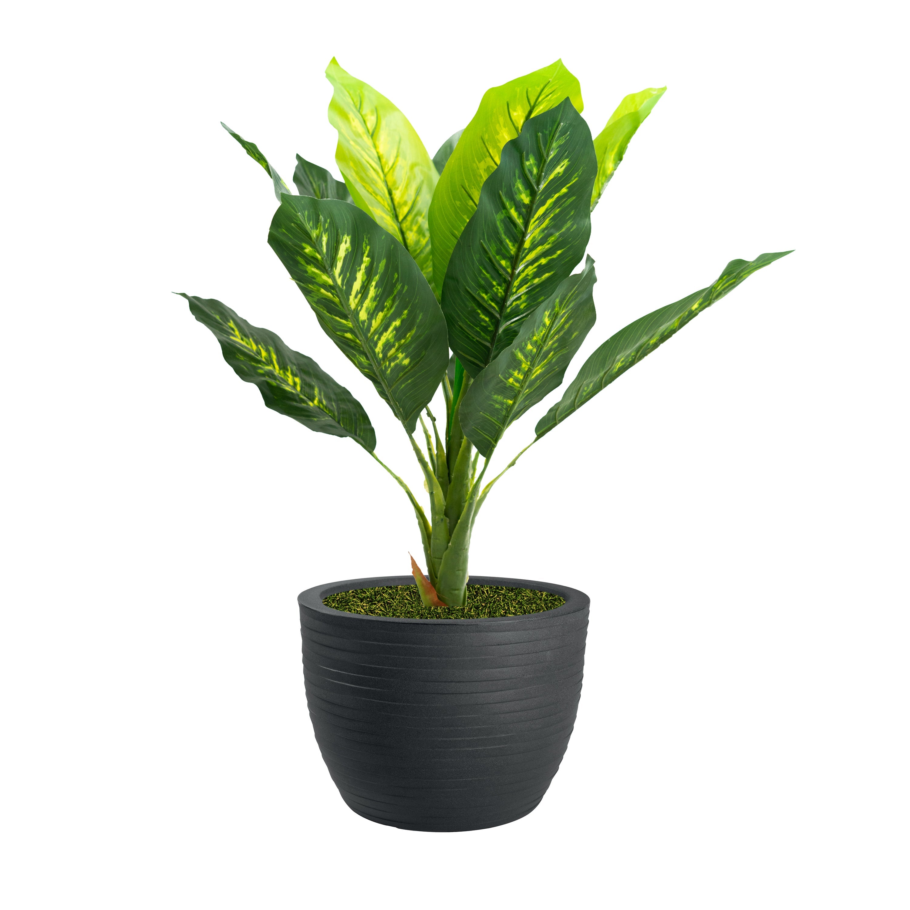 Pianta Artificiale Dieffenbachia 90 cm Con Vaso Nicoli Hera Ø 40 Incluso -  colore: Elegance Antracite - P03-V08-P