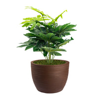 Pianta Artificiale Aralia 70 cm Con Vaso Nicoli Hera Ø 30 Incluso -  colore: Elegance Corten - P04-V07-CT