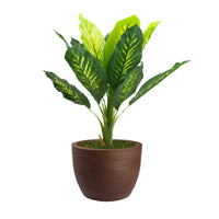 Pianta Artificiale Dieffenbachia 90 cm Con Vaso Nicoli Hera Ø 40 Incluso -  colore: Elegance Corten - P03-V08-CT