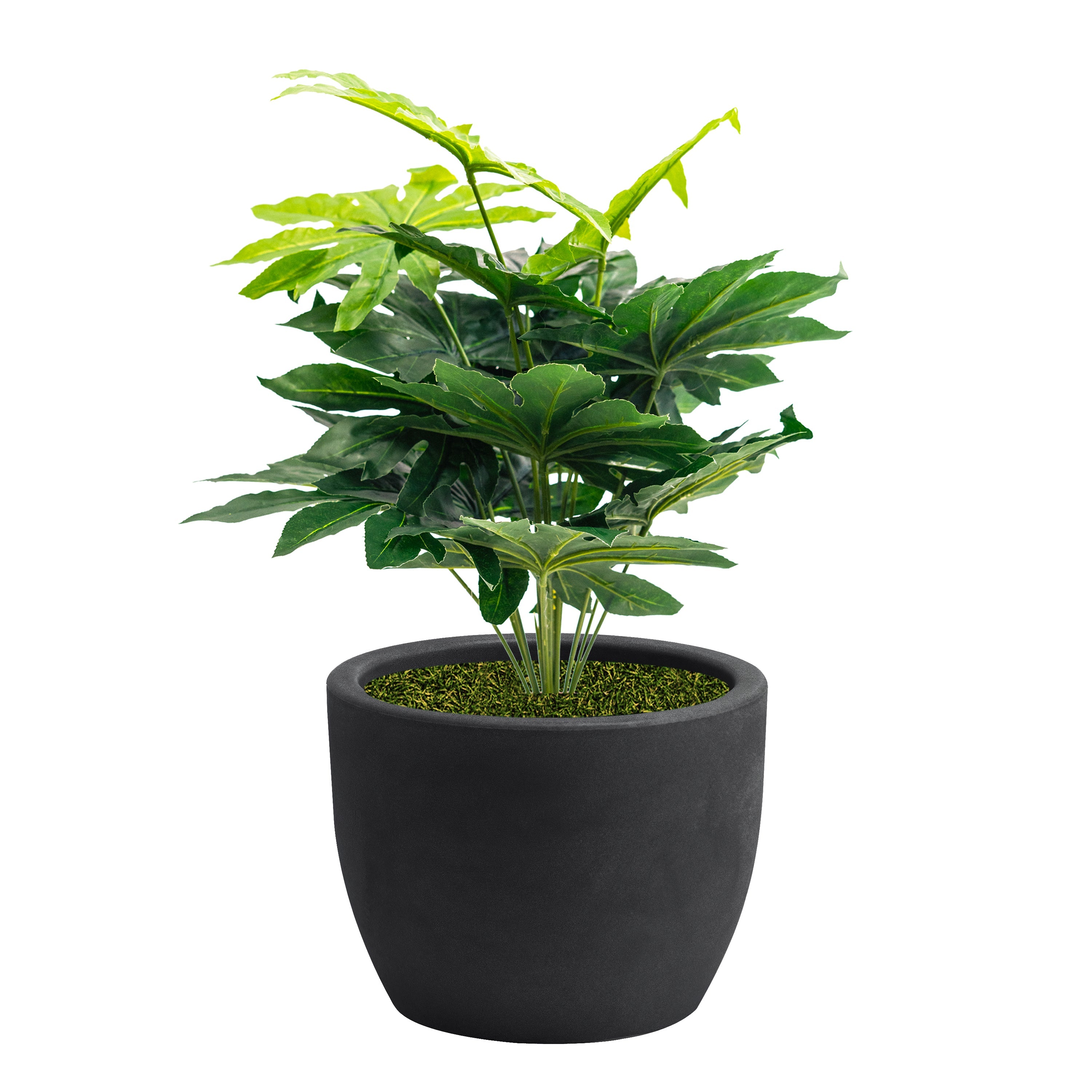 Pianta Artificiale Aralia 70 cm Con Vaso Nicoli Hera Ø 30 Incluso -  colore: Matt Antracite
 - P04-V02-P