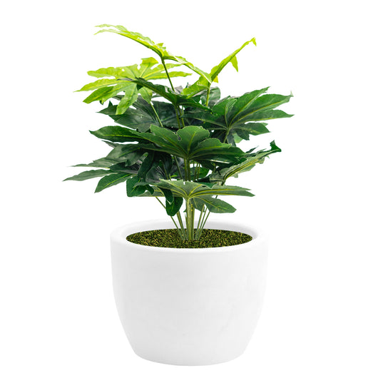 Pianta Artificiale Aralia 70 cm Con Vaso Nicoli Hera Ø 30 Incluso -  colore: Matt Bianco
 - P04-V02-B