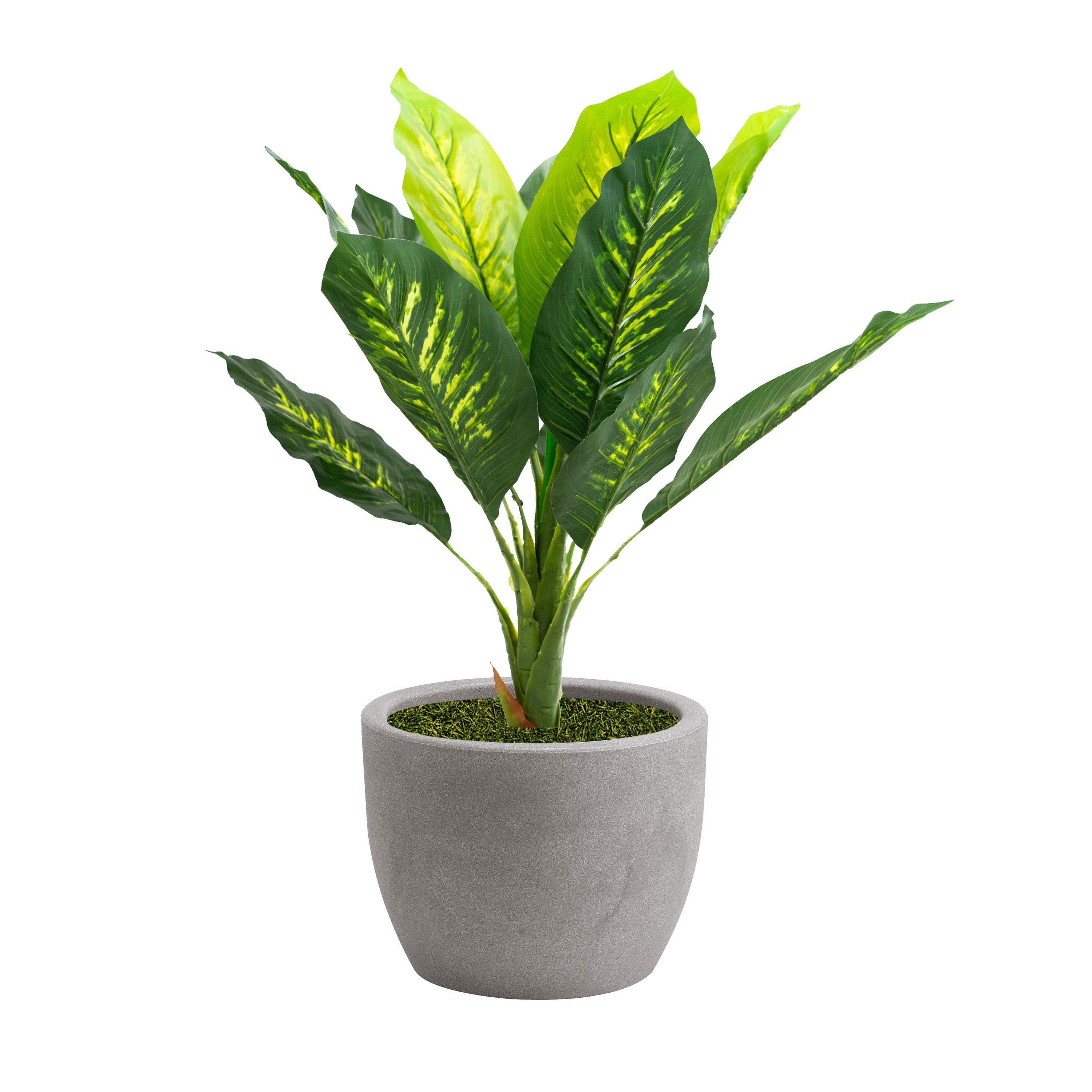 Pianta Artificiale Dieffenbachia 90 cm Con Vaso Nicoli Hera Ø 40 Incluso -  colore: Matt Cenere
 - P03-V03-S