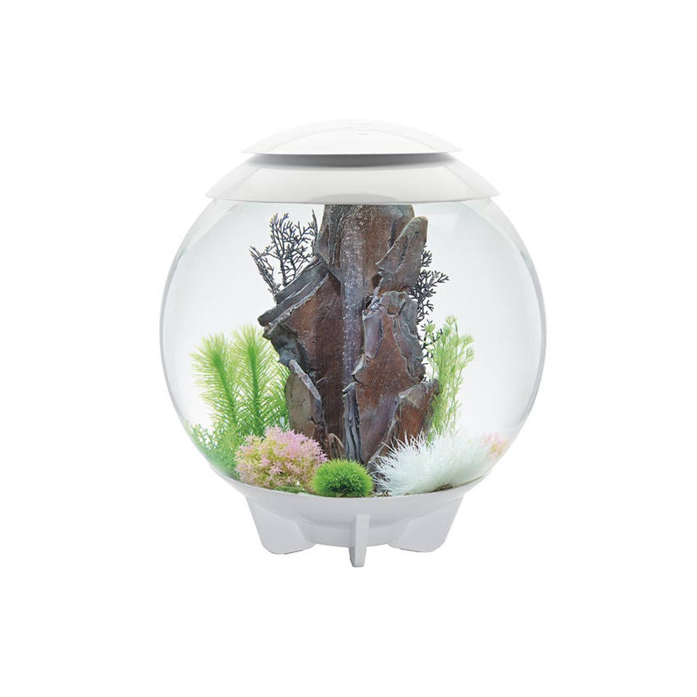 Oase acquario luminoso biorb halo 60 litri colore bianco con luci a led bianchi