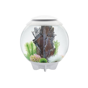 Oase acquario luminoso biorb halo 60 litri colore bianco con luci a led bianchi