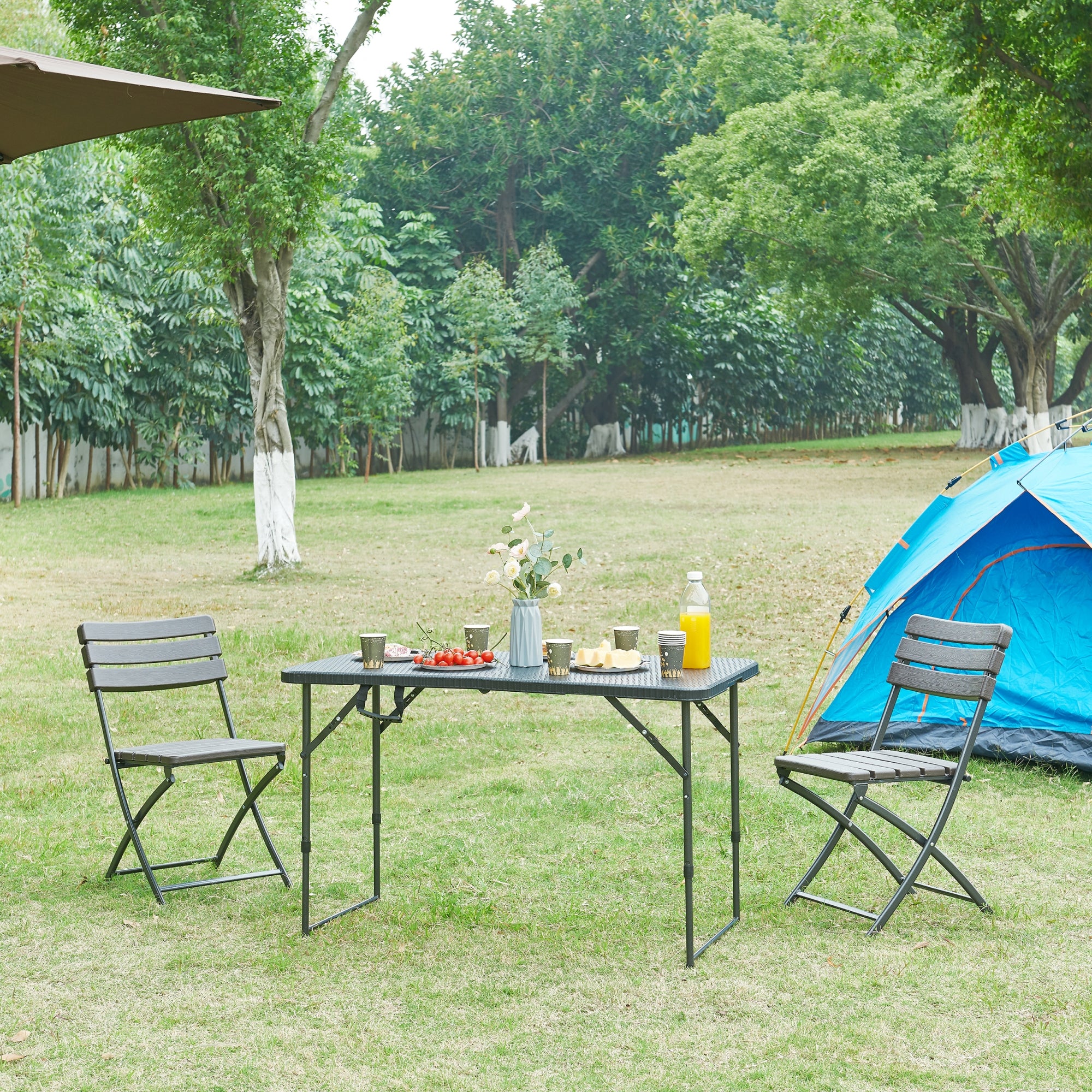 Tavolo da Picnic Adelfia Pieghevole - Nero Effetto Rattan [en.casa]