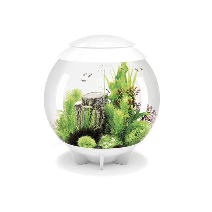 Oase acquario luminoso biorb halo 60 litri colore bianco con luci a led bianchi