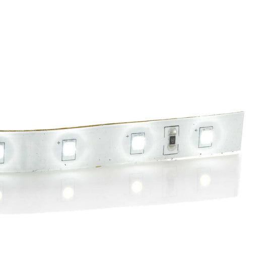 LAMPADINA LED STRIP LED 12W 3000K IP65 3mt