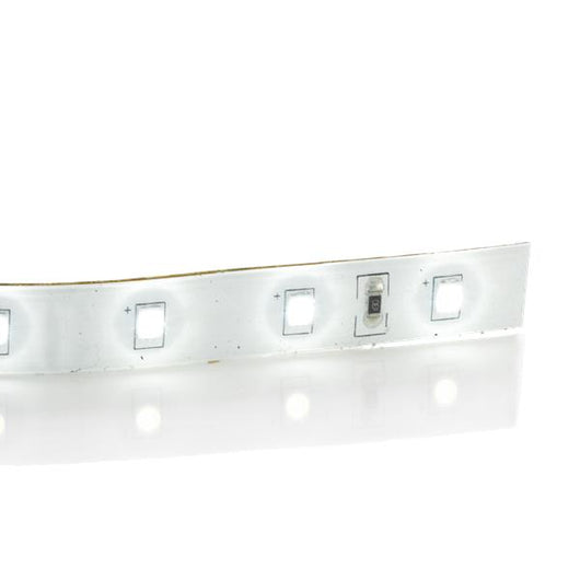 LAMPADINA LED STRIP LED 13W 3000K IP65 5mt