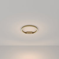 Lampadario A Sospensione Moderno Rim Alluminio Ottone 1 Luce Led 25W