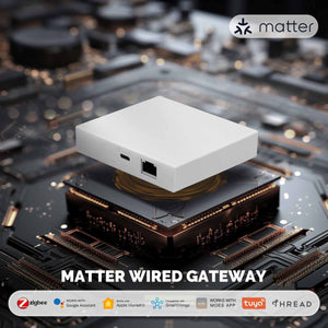 Matter Gateway ZigBee Hub Thread Compatibile Con Alexa Google Apple Homekit Smartthings Tuya