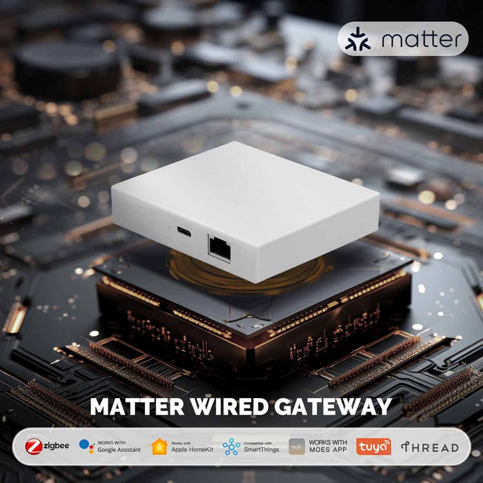 Matter Gateway ZigBee Hub Thread Compatibile Con Alexa Google Apple Homekit Smartthings Tuya