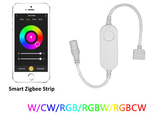 Mini ZigBee Controller 12V 24V 4A Per Striscia Led Mono Colore APP Tuya HUE Compatibile Con Alexa Google Home