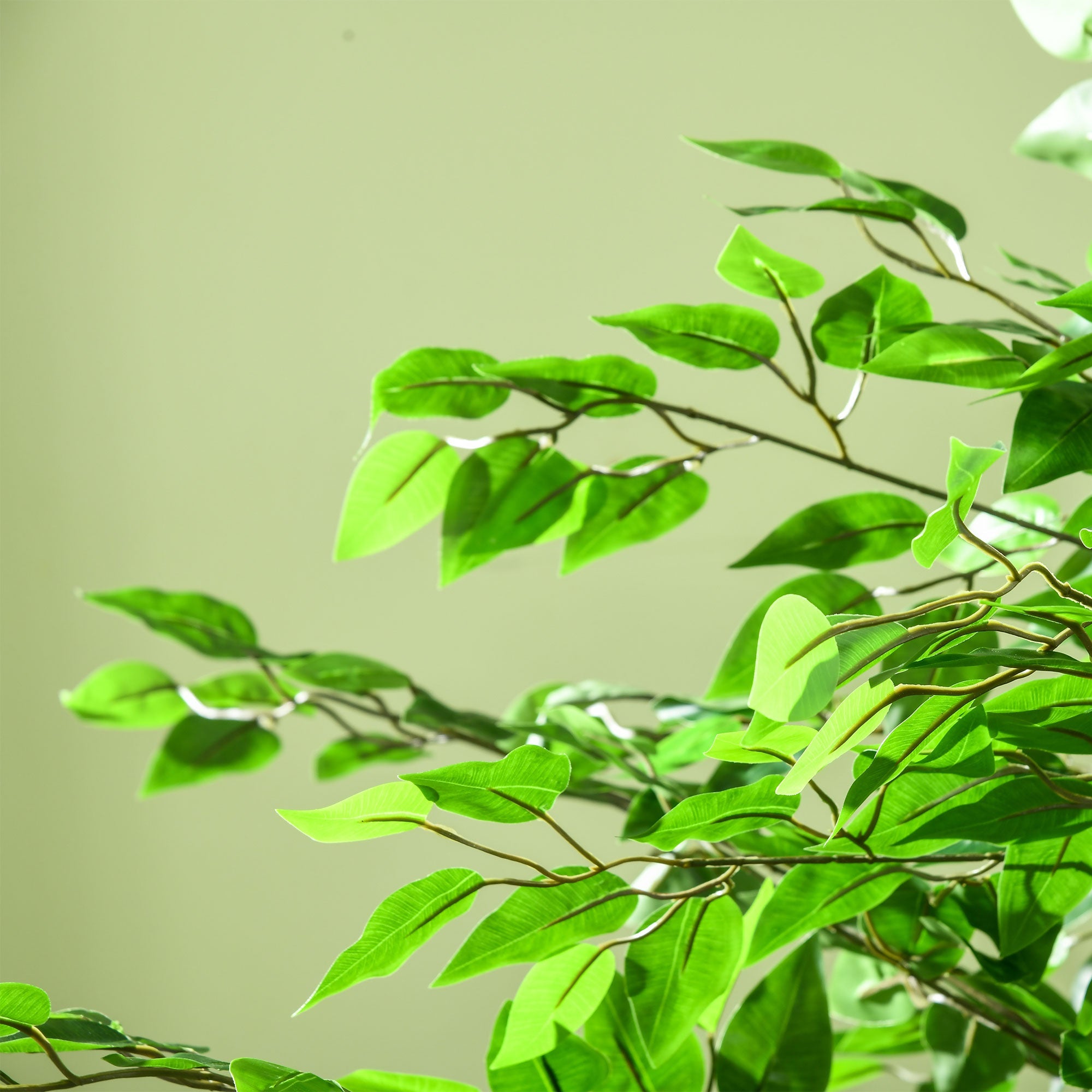 Pianta Artificiale di Ficus con Vaso per Interni ed Esterni 180 cm Verde