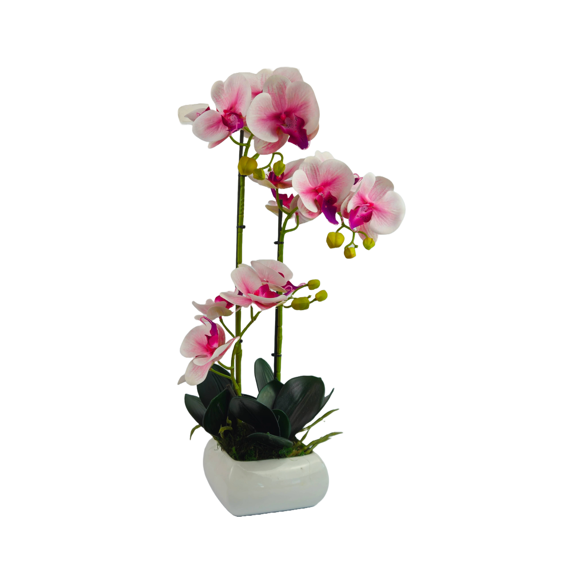 Pianta Artificiale Orchidea con vaso ondulato