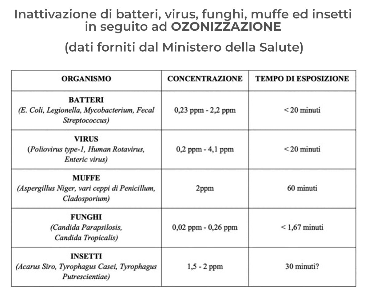 <p><em><strong>Generatore di Ozono</strong></em></p><h2 class=&quot;subheading-desc&quot;>Generatore di Ozono Portatile