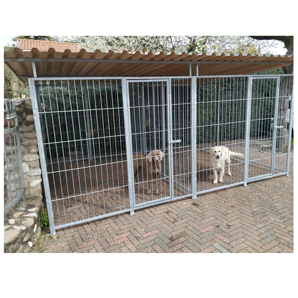 2 box per cani in linea con copertura ciascuno da 3x2 metri con zincatura a caldo