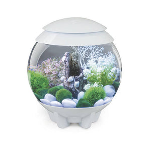 Oase acquario luminoso biorb halo 15 litri colore bianco con luci a led colorati