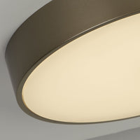 Palma LED Flush, Policarbonato Bronzo con