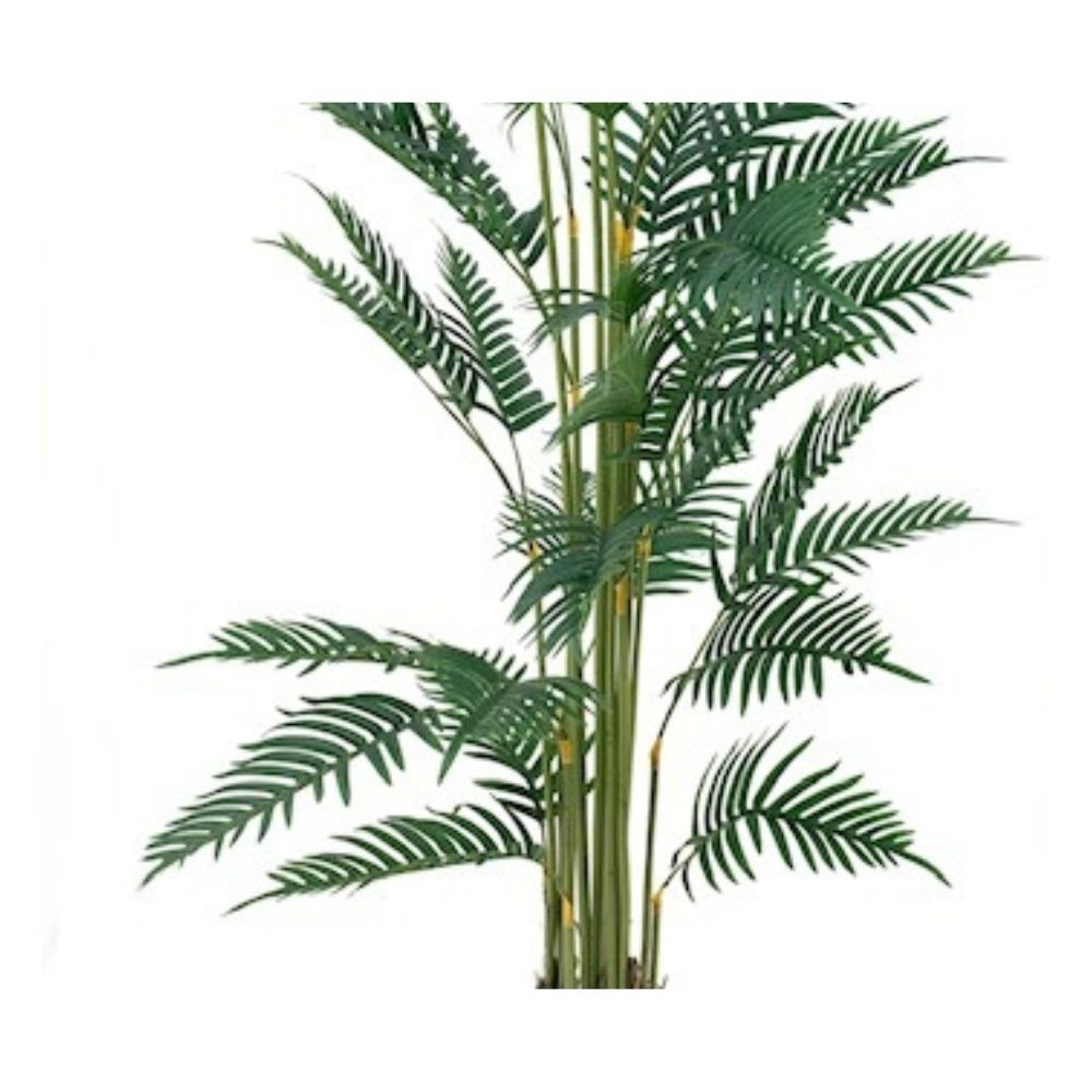 Pianta ornamentale Palma Areca 180 cm. con vaso