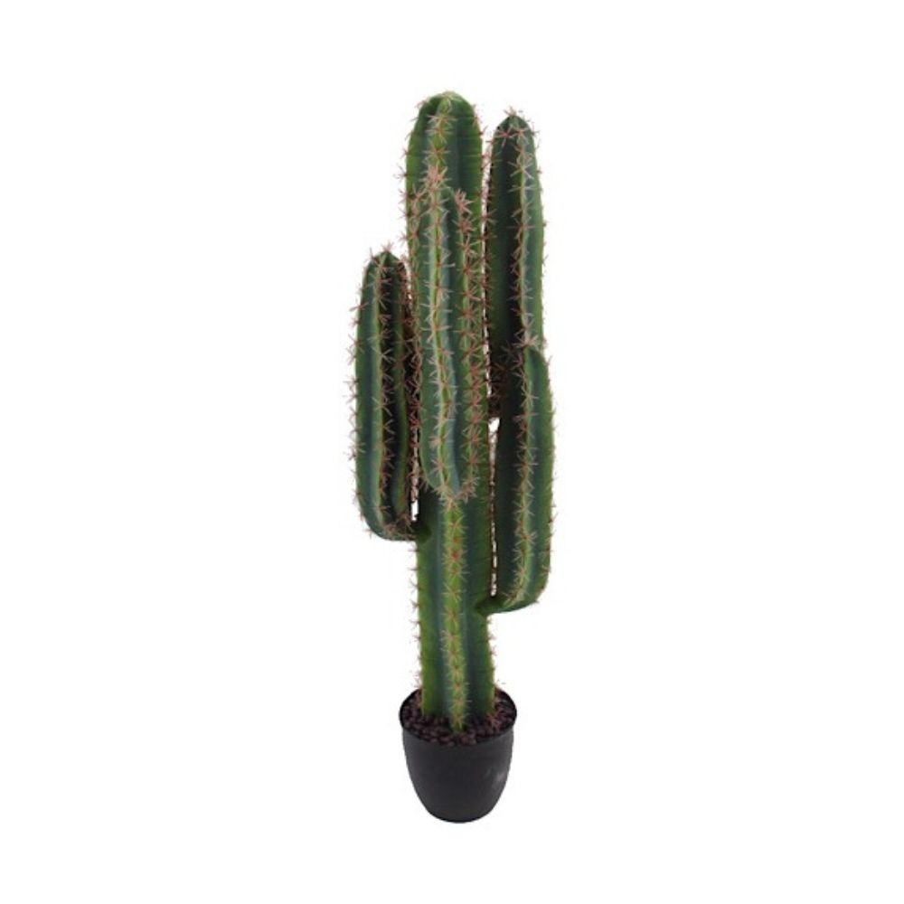 Pianta ornamentale di Cactus 108 cm con vaso