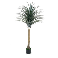 Pianta ornamentale di Dracena 150 cm con vaso