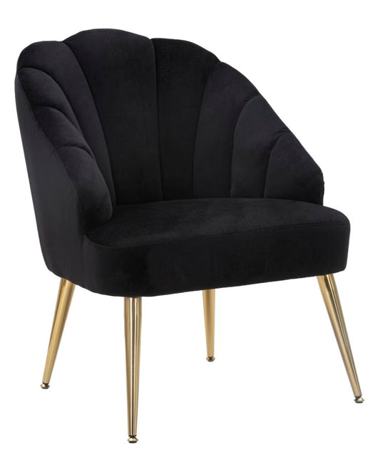 Poltrona elegante, velluto nero, gambe metallo dorate 65x69x84cm Shell