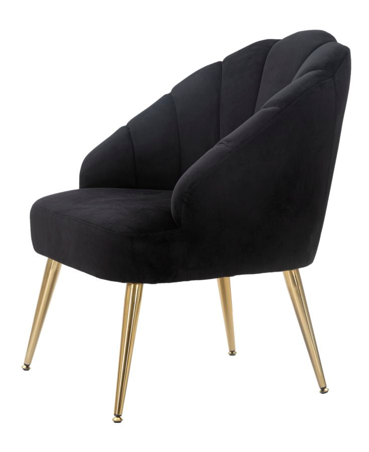 Poltrona elegante, velluto nero, gambe metallo dorate 65x69x84cm Shell