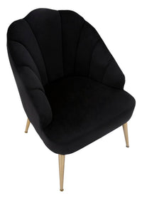 Poltrona elegante, velluto nero, gambe metallo dorate 65x69x84cm Shell