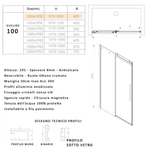 Porta doccia scorrevole fumè anticalcare 195h 8mm euclide, misura 100