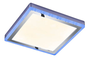 Plafoniera da Interno a LED in Plastica Bianco