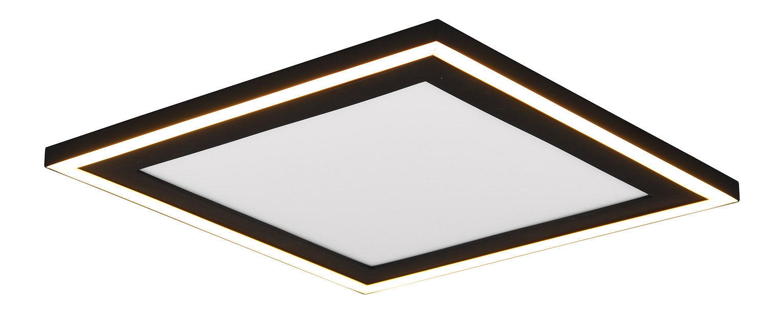 Plafoniera da Interno a LED in Plastica Nero Opaco