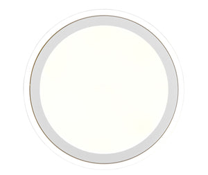 Plafoniera da Interno a LED in Plastica Bianco Opaco