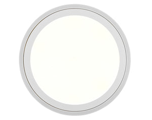 Plafoniera da Interno a LED in Plastica Bianco Opaco