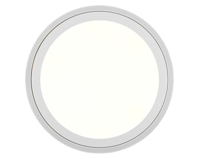 Plafoniera da Interno a LED in Plastica Bianco Opaco