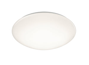 Plafoniera da Interno a LED in Plastica Bianco