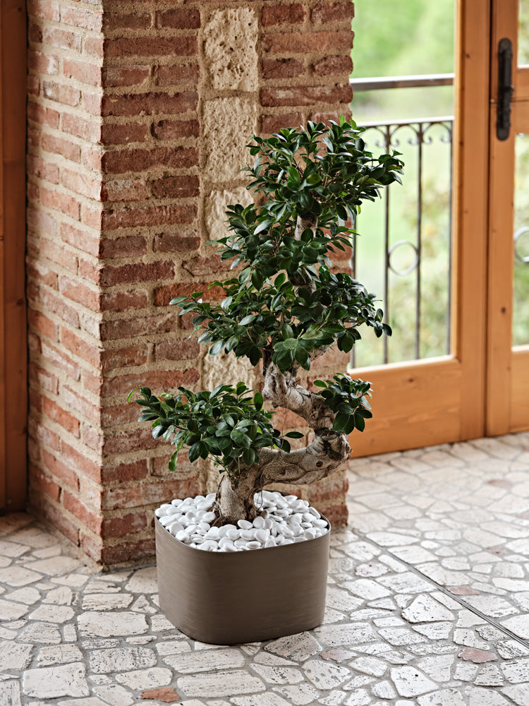 Vaso Per Fiori Rodi Polietilene Interno-Esterno con Riserva D'acqua Integrato Cm 37x37x21h col Fog (Grigio) AMZRODI37FOG