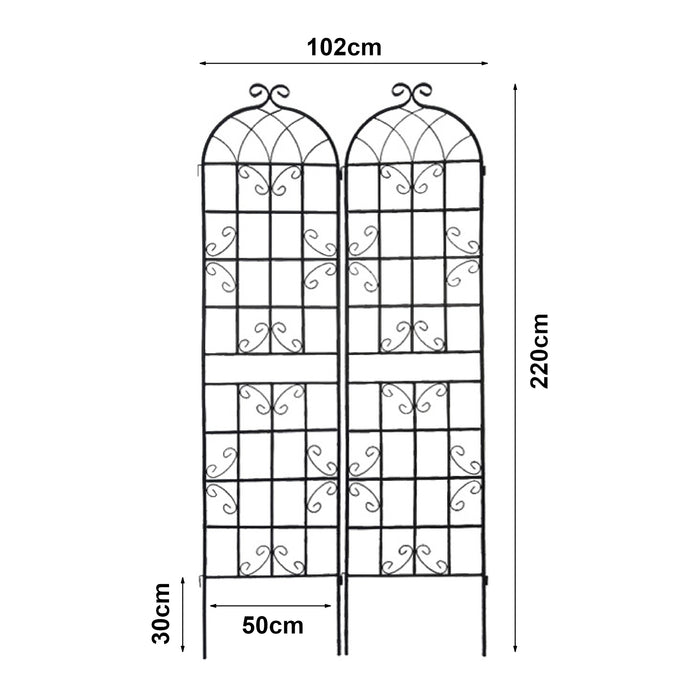Traliccio Barrea a 2 Pannelli per Piante Rampicanti 220 x 50 cm Nero casa.pro