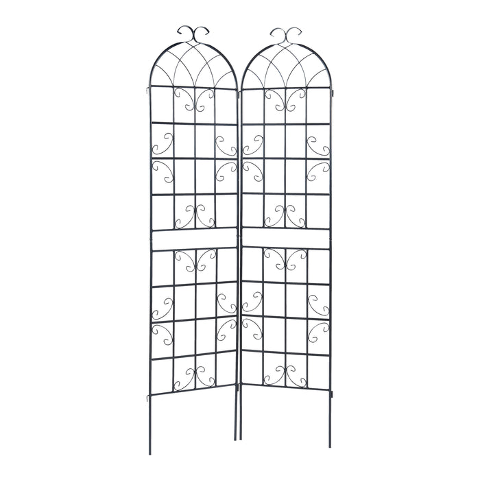 Traliccio Barrea a 2 Pannelli per Piante Rampicanti 220 x 50 cm Nero casa.pro