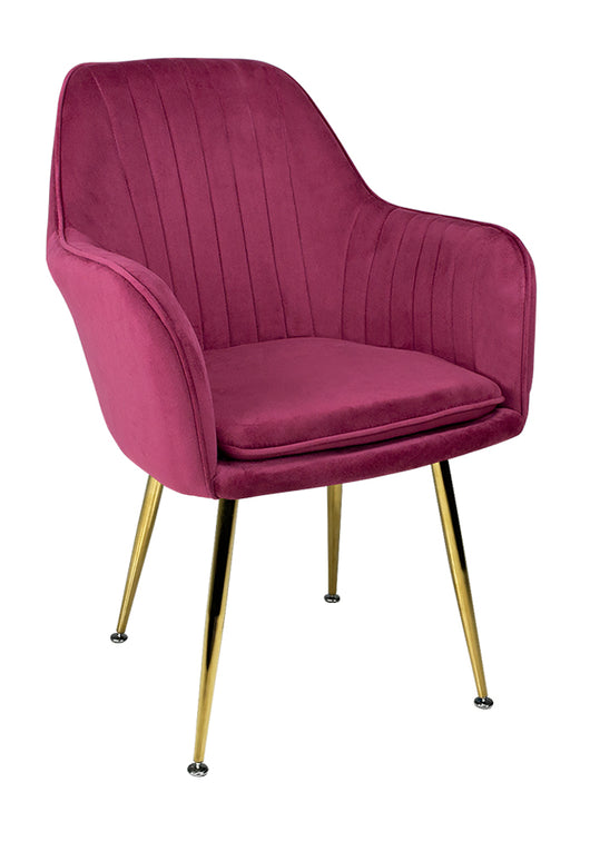 Sedia da pranzo in velluto poltroncina vintage mod. Celine Colore: Bordeaux SDPL21CEPD