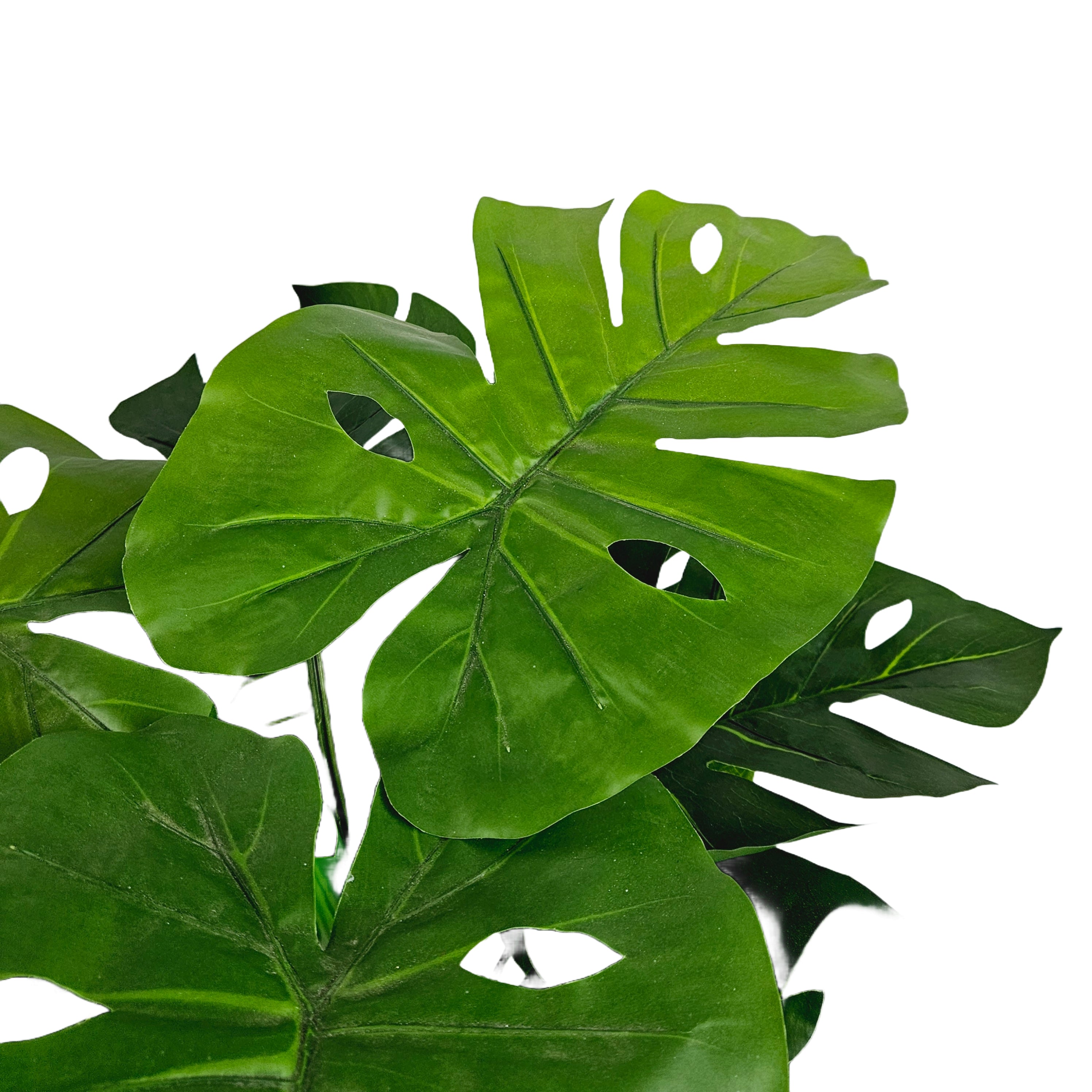 Pianta artificiale Filodendro Philodendron 100 cm con vaso in plastrica