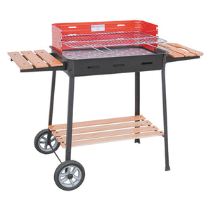 BARBECUE RETTANGOLARE '860 EXCELSIOR' cm 63 x 43 x H 88 FILCASALINGHI