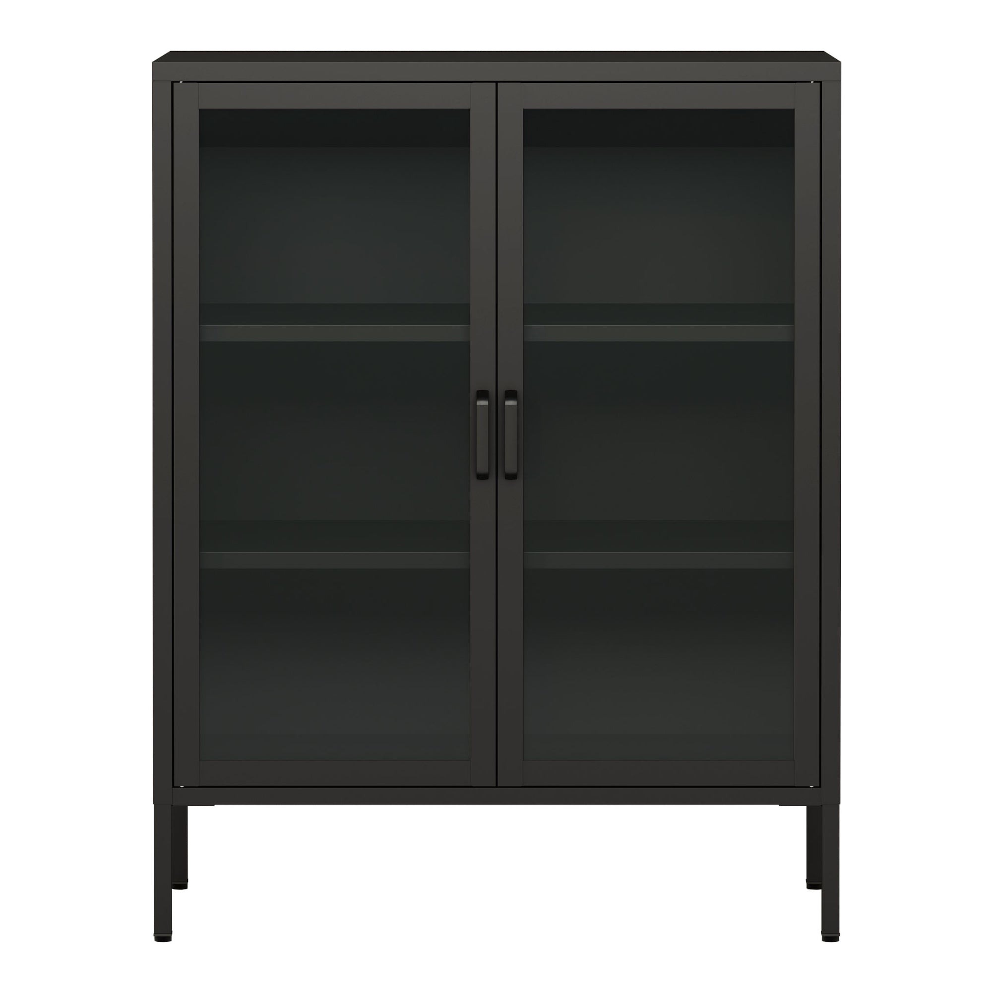 Credenza Fauske in Acciaio con 2 Ante in Vetro Temperato 101,5 x 80 x 40 cm Nero [en.casa]