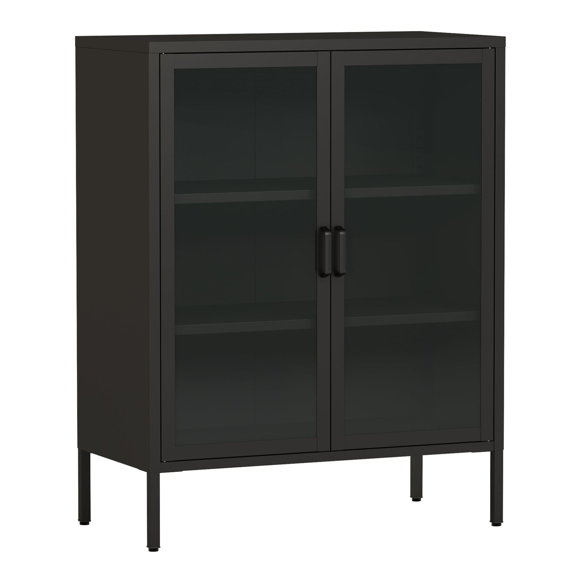 Credenza Fauske in Acciaio con 2 Ante in Vetro Temperato 101,5 x 80 x 40 cm Nero [en.casa]