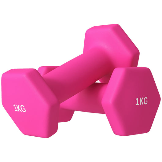 Set 2 Manubri Palestra 1 kg Pesi esagonali per Allenamento Rosa