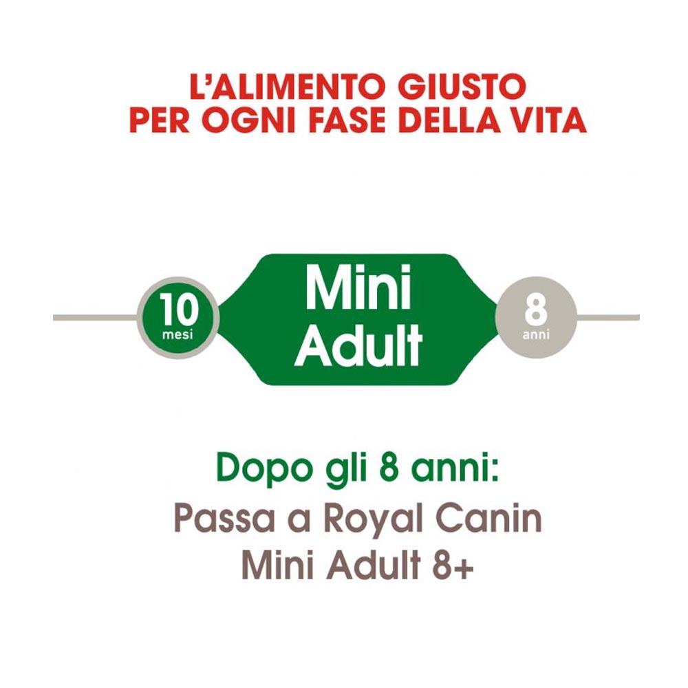 Royal canin mini adult crocchette per cani adulti 3 confezioni da 800 grammi