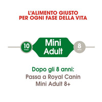 Royal canin mini adult crocchette per cani adulti 3 confezioni da 800 grammi