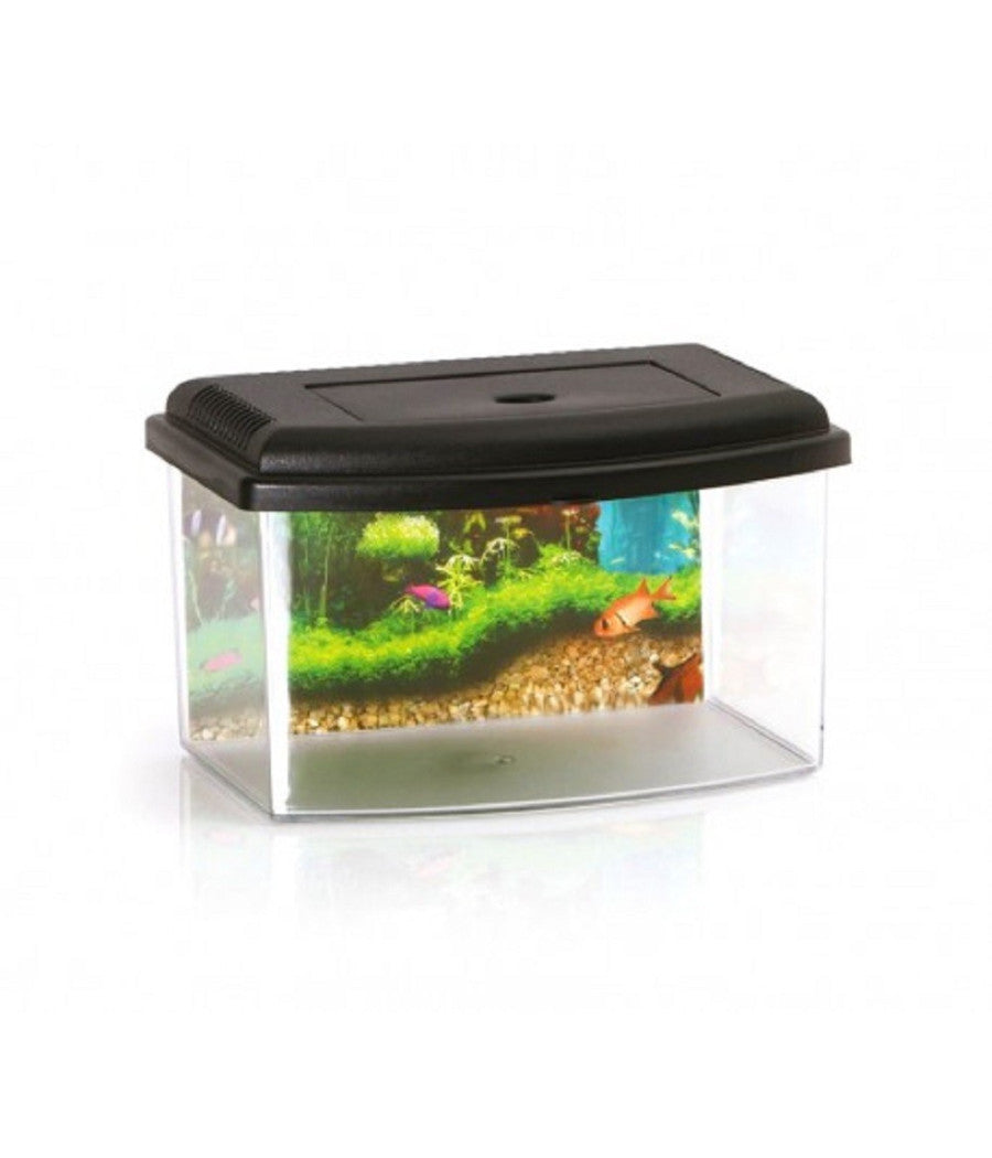 Acquario Rettangolare In Plastica Rigida 3 Litri Con Coperchio 22 X 16 X 14 Cm         